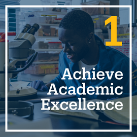 This is a photo of a student conducting research in a lab. The embedded text emphasizes, "Achieve Academic Excellence." This is flashcard image is 1 out of 10.