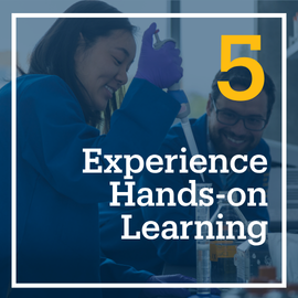 This is a photo of a student researching. The embedded text emphasizes, "Experience Hands-on Learning." This is flashcard image 5 out of 10.