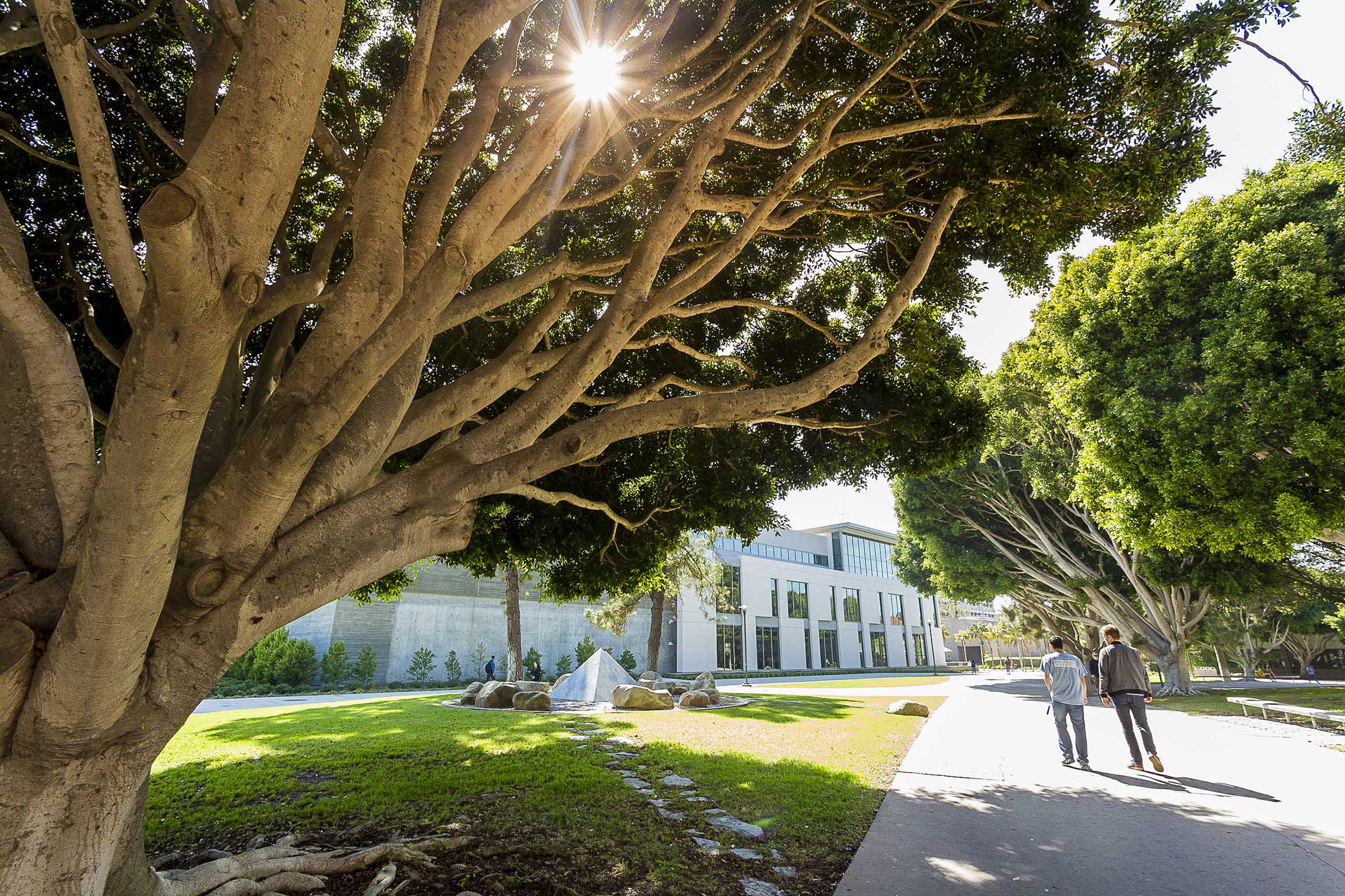 Two students walk along a tree-lined path.